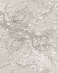 Almond Blossom Wallpaper