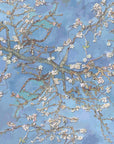 Almond Blossom Wallpaper