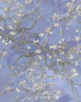 Almond Blossom Wallpaper