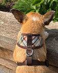 Luxury Brown Tartan Harness by My Pup and Me