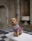 Burgundy Merino Lambswool Dog Jumper