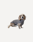 Cashmere Dog Jumper, Gray