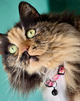 Florentina - Cat Collar, One Size