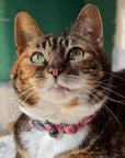 Florentina - Cat Collar, One Size