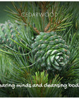 Natural Soap - Cedarwood