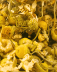 Organic Chamomile Tea