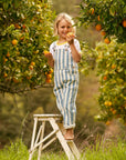Classic Wide Stripe Denim Dungarees - Blue