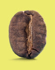 Dulima Excelso