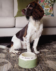Springer Spaniel Bowl