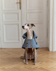 Water-repellent Dog Trench Coat - Light Blue