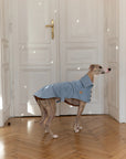 Water-repellent Dog Trench Coat - Light Blue