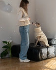 Woolen Dog Vest - Dark Grey
