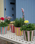 The Penny Planter in Pink and Blue Stripe