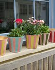 The Penny Planter in Pink and Yellow Stripe