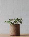 Handmade ceramic planter - Natural Earth