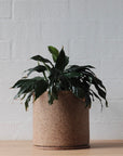 Handmade ceramic planter - Natural Earth