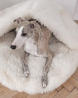 Natural Sheepskin Pet Cave - White