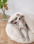 Natural Sheepskin Pet Cave - White