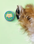 Nose and Paw Balm for Dogs