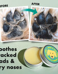 Nose and Paw Balm for Dogs