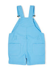 Sky Blue Shorts