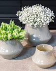 Orchid Pot MARCO - TAUPE BROWN