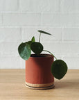 Handmade ceramic planter - Terracotta