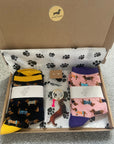 Dachshund Letterbox Gift