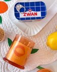 EAT MIDI: The Deodoriser Candle