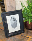 Framed Antique Anatomy Print 1920s Medical Book Plate Wall Art Picture T