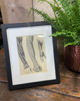 Victorian Anatomy Engraving – Antique Medical Print S