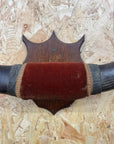 Vintage Buffalo Horns / Mounted Horns / Hat Coat Hooks / Taxidermy Mancave Bar