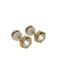 Unity earrings