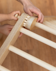 MOFI - Add-on growing segment for SIPITRI and MOPITRI®