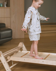 MOPITRI® 4-segment Modifiable Climbing Triangle With a Sliding/Climbing Ramp