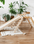 FIPITRI® 5-segment Modifiable Climbing Frame With a Sliding/Climbing Ramp
