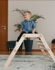 FIPITRI® 5-segment Modifiable Climbing Frame With a Sliding/Climbing Ramp