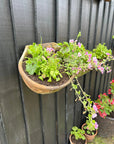 Wall Planters / Cattle Feeder / Hanging Basket / Herb Planter / Plant Pot