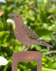 Rusty Metal Blackbird On A Spade Garden Decoration