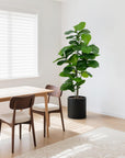 Faux Fiddle Leaf Fig Tree 6'