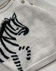 Lucky Zebra Jumper