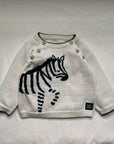 Lucky Zebra Jumper