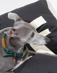 Dog Bed Big WOOF in Black Velvet