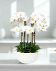 Faux Orchid Centerpiece Arrangement - 24"