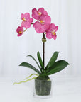 Faux Orchid Plant in Glass Vase
