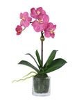 Faux Orchid Plant in Glass Vase