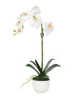 Faux Orchid Plant in White Vase - 18"