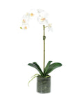 Artificial Orchid Plant in Vase - 20"
