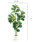 Faux Fiddle Leaf Fig Tree In White Planter 6'