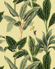 Flora Vintage Tropical Wallpaper